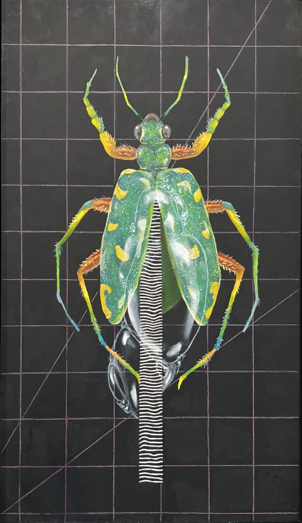 Insect #12 - Unknown by Tabitha Abbott