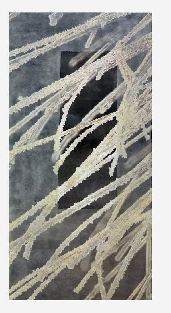 Hoarfrost Series, Carbon No.1 by Suzie Mulligan, Image 1.