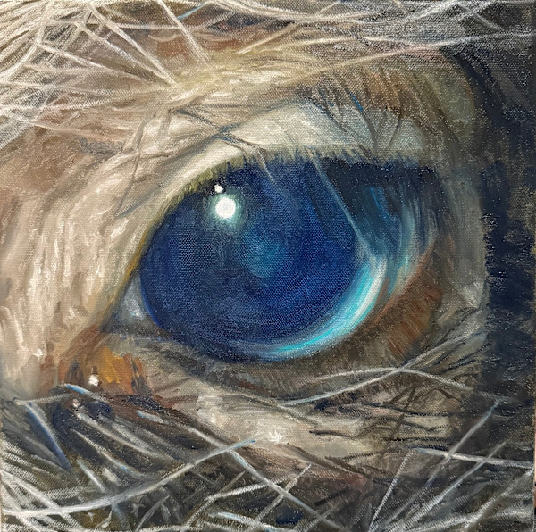 I, Pig by Lin-Lin Mao Mollitor