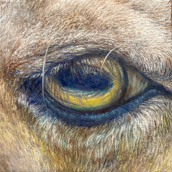 I, Sheep by Lin-Lin Mao Mollitor