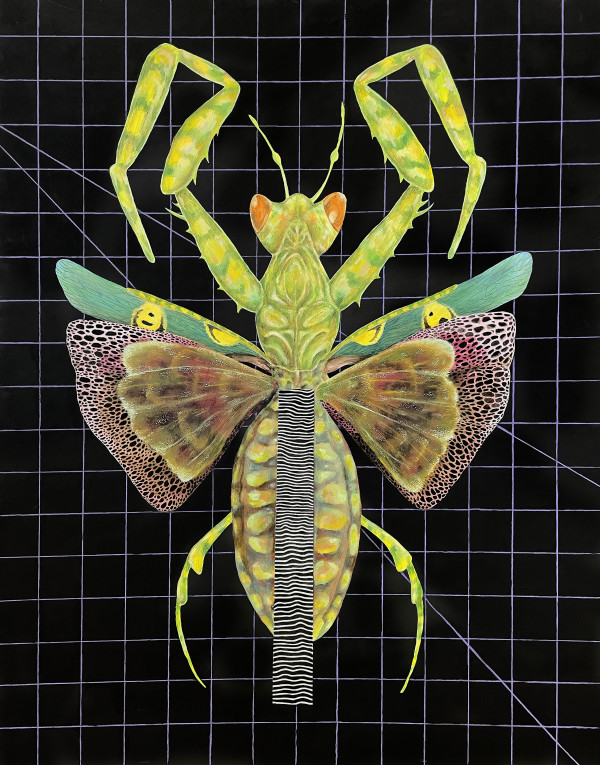 Insect #1 (Mantis) by Tabitha Abbott