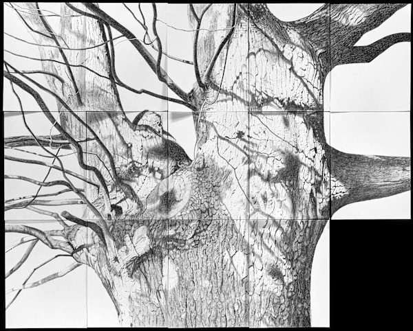 Verulam III by Donna Leavitt