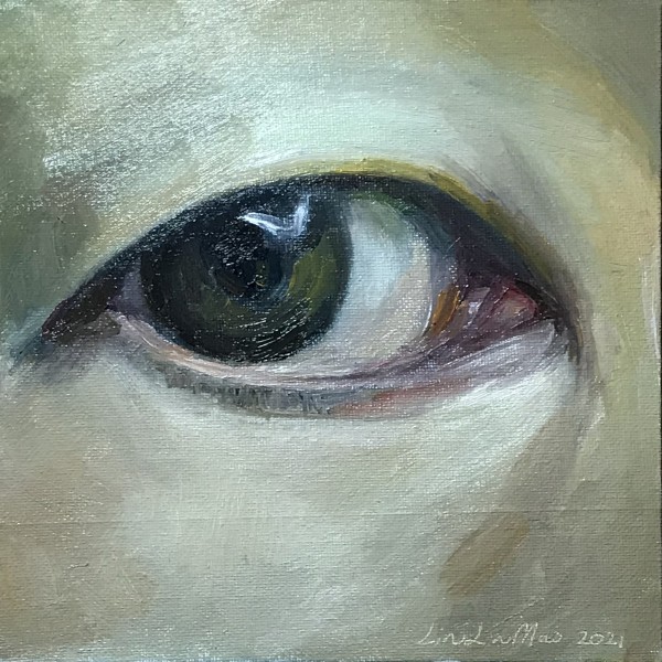 Eye by Lin-Lin Mao Mollitor