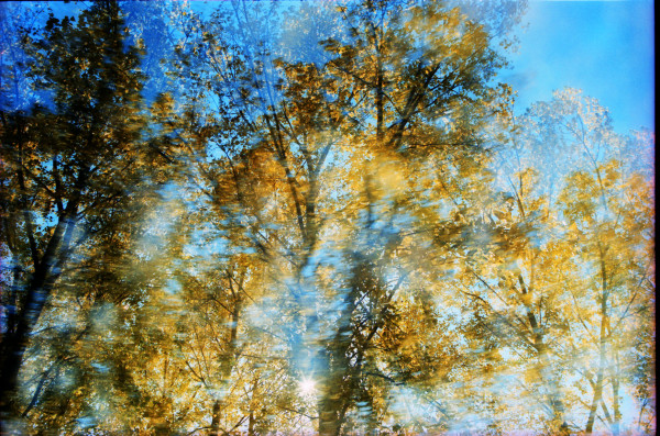 You Knew All Along by Nathan Vass