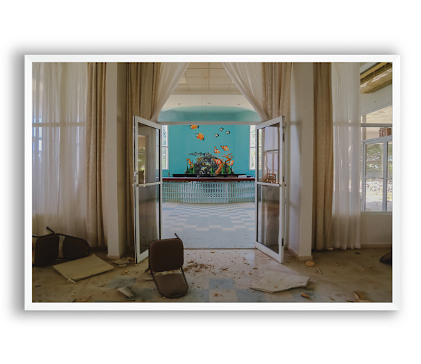 Whose Paradise? by Jo Cosme