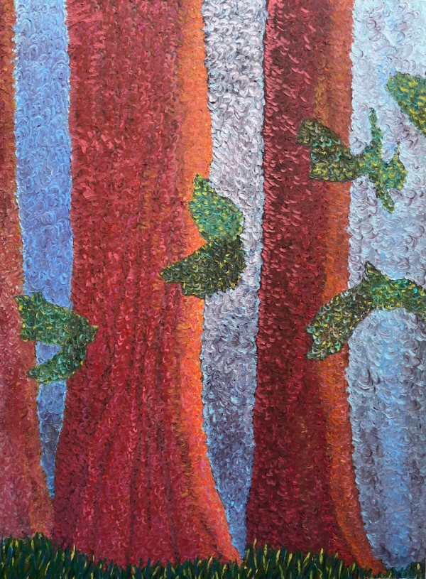 Redwoods by Ruth Kapcia