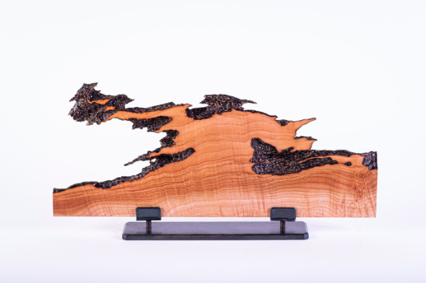 the tree by Peter Nawrot