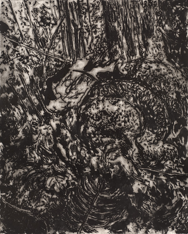 Density by Sheila Sondik