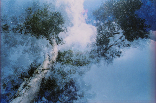 To Glory in the Last Breath of Time, Without Sadness by Nathan Vass