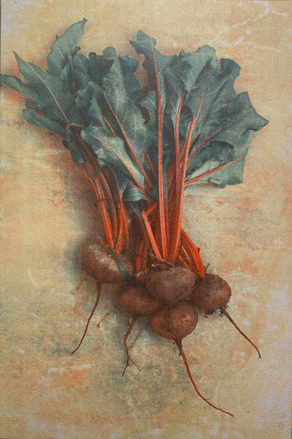 Beet by Maylee Noah