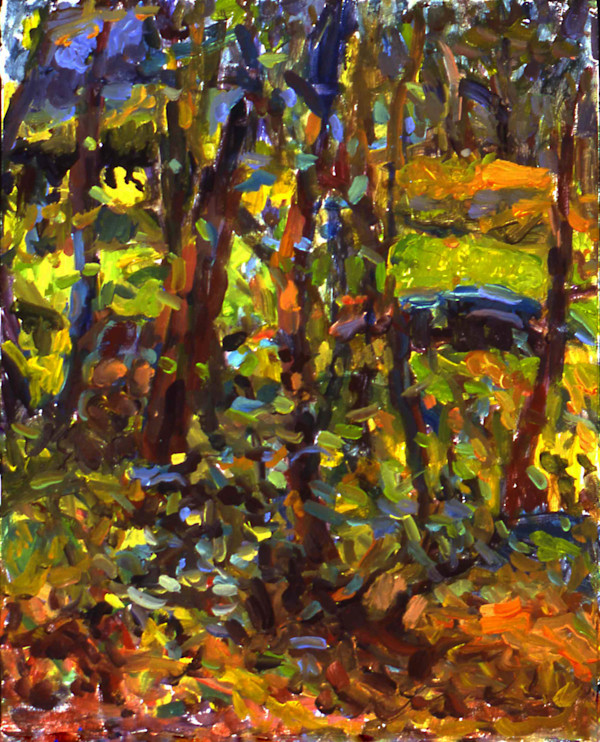 Bellaire Park I by Carol Adelman