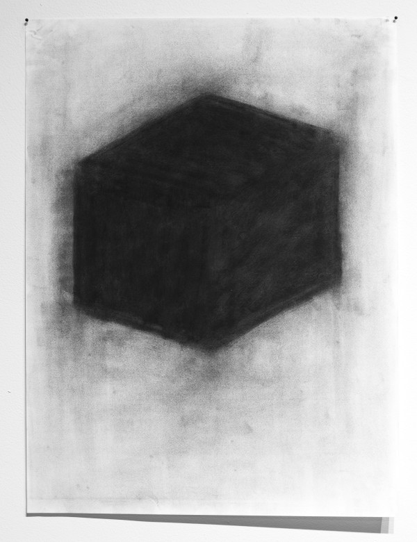 Black Box of Life, A by Noah McLaurine