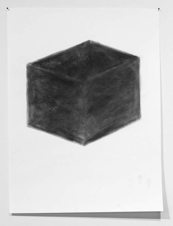 Black Box of Life, C by Noah McLaurine
