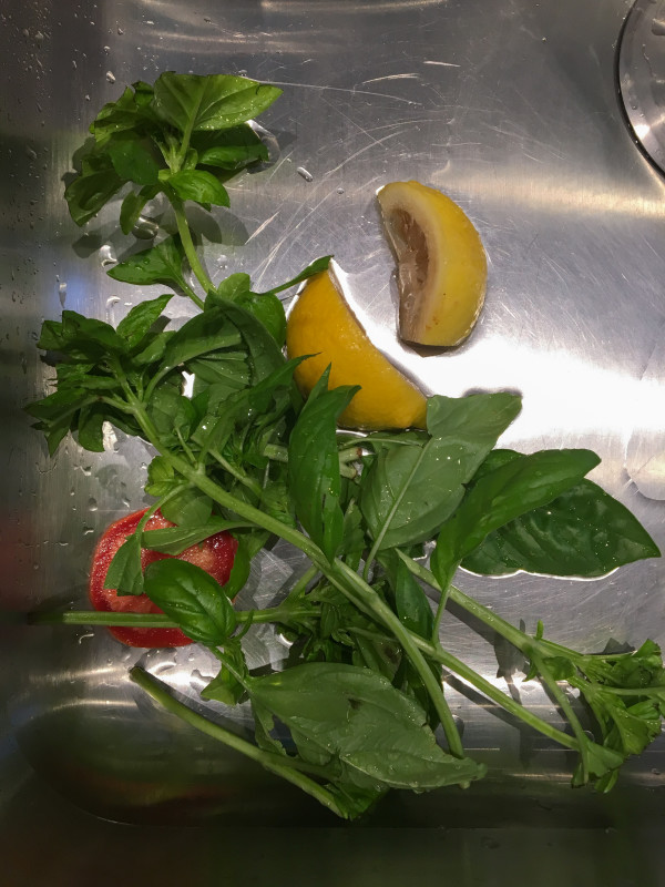 Caprese (after iced tea) by Maylee Noah