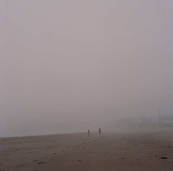 fog by Alethea Robbins