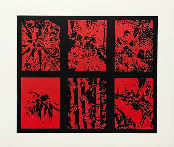 Legados de supervivencia by Gabriel Sanchez Viveros