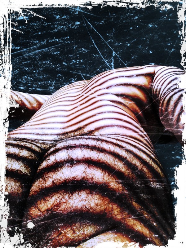 Zebra's Dream by Gabriel Sanchez Viveros