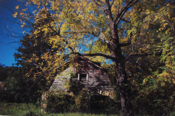 Farmhouse Covered by Shoun Hill