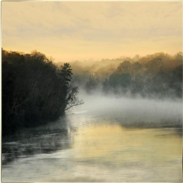 Mist on the Chattahoochee by Diane Kirkland
