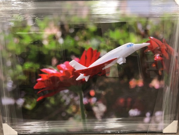 Inches Above Earth Series "Approximate Altitude ? Inches " (Red & White Jet in front of Red Flowers) by Michael Reese