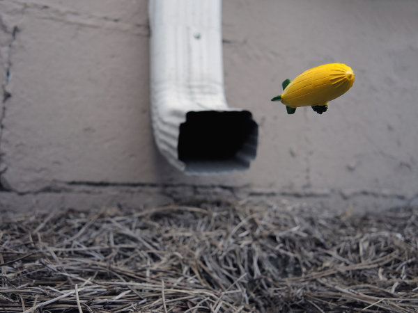 Inches Above Earth Series "Approximate Altitude 6.0 Inches " (Yellow Blimp over Gutter & Pine Straw) by Michael Reese