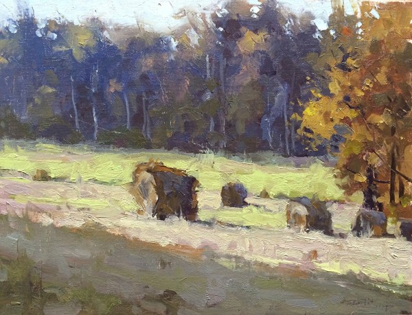 Autumn Light by David Boyd Jr