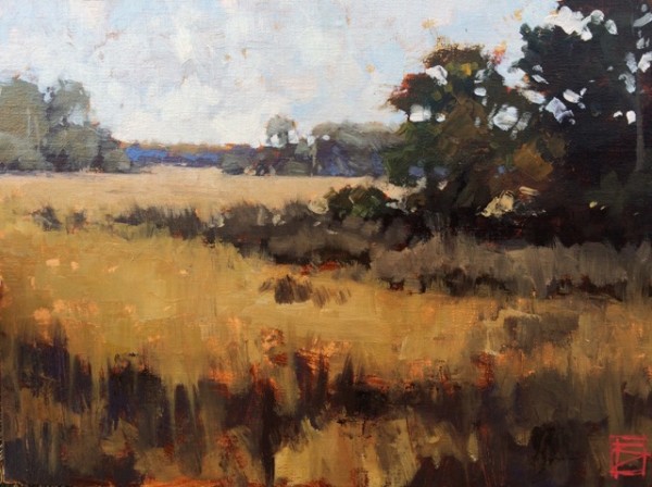 Marsh, Fall by David Boyd Jr