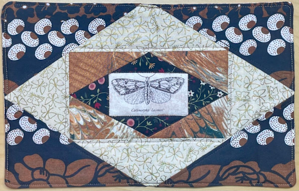 Butterfly Wings by Audrey Hyvonen