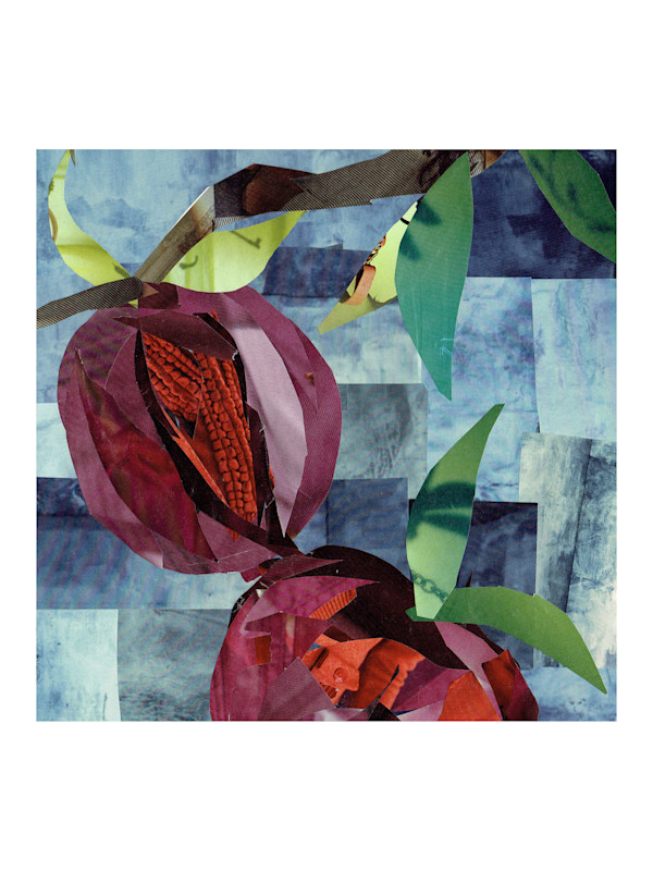 Pomegranate by Liberty Worth
