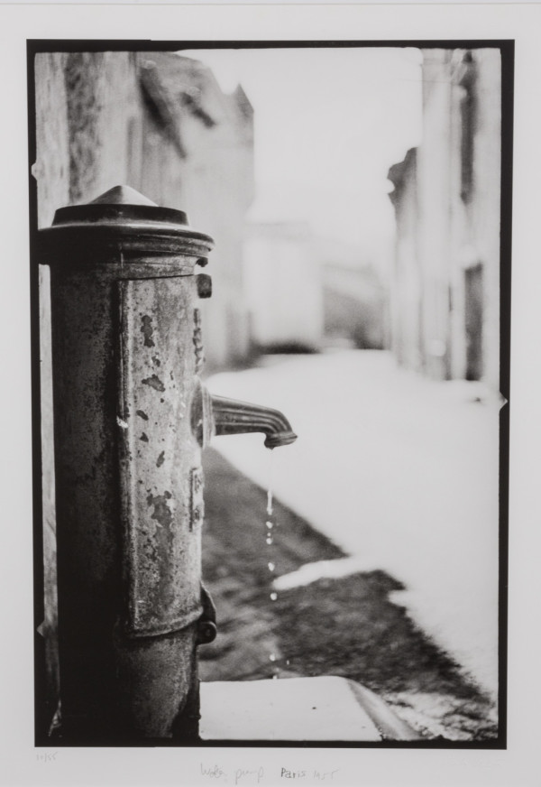 Water Pump by Stanley Milstein