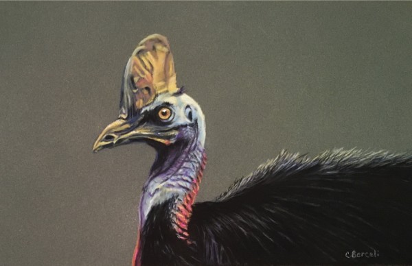 Colorful Cassowary by Cindy Berceli