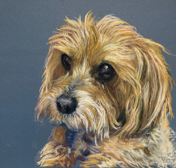 Annie by Cindy Berceli