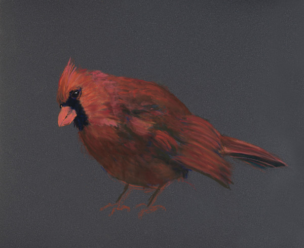 Red Bird with Attitude by Cindy Berceli