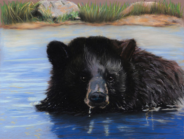 Up for Air. (Black Bear). by Cindy Berceli