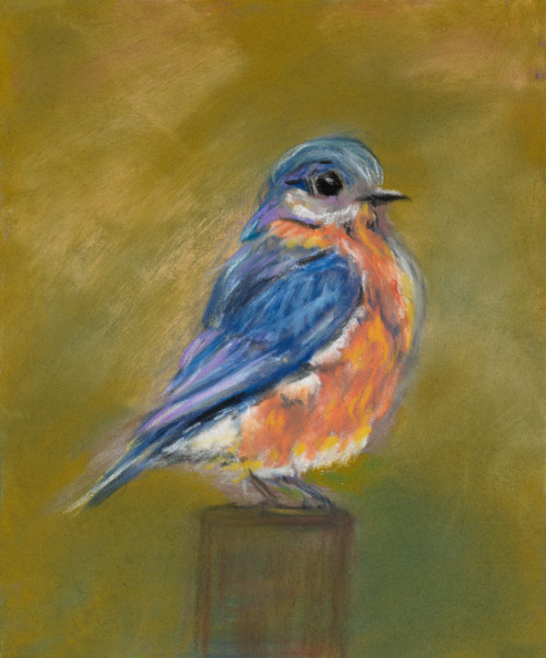 Blue Bird by Cindy Berceli