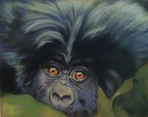 Gorilla Eyes