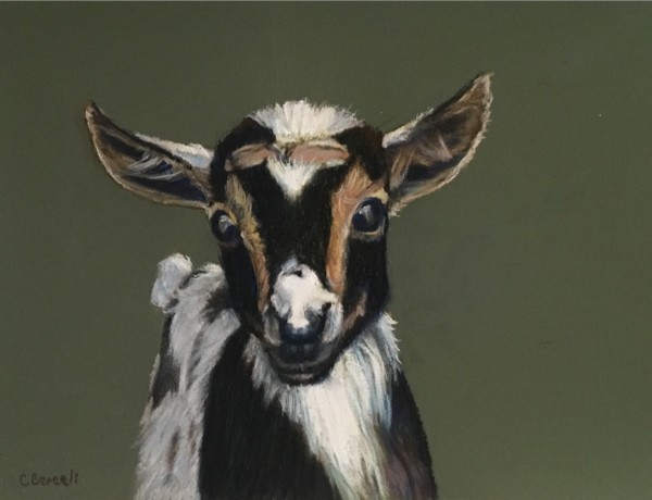 Black, White & Brown Goat by Cindy Berceli