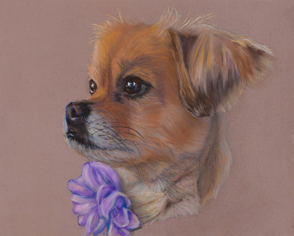 *Coco, by Cindy Berceli, Image 1.