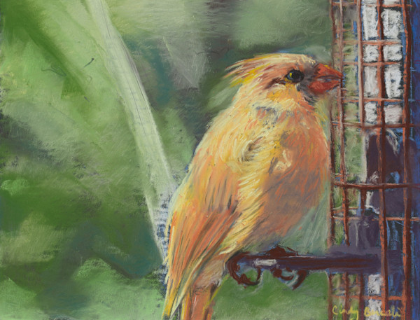 *Female Glare by Cindy Berceli, Image 1.