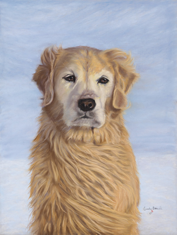 *Freya, a golden. by Cindy Berceli, Image 1.