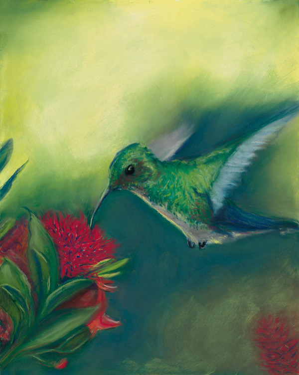 Spiritual Hummer by Cindy Berceli