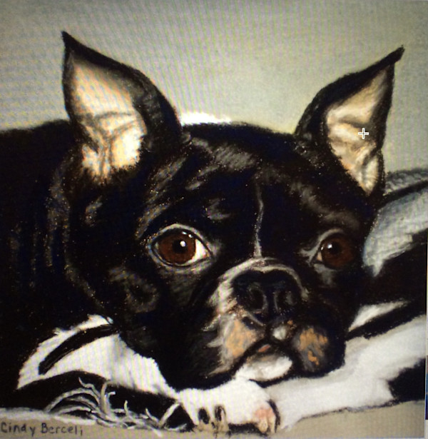 'Gotta love him'        Bruno by Cindy Berceli