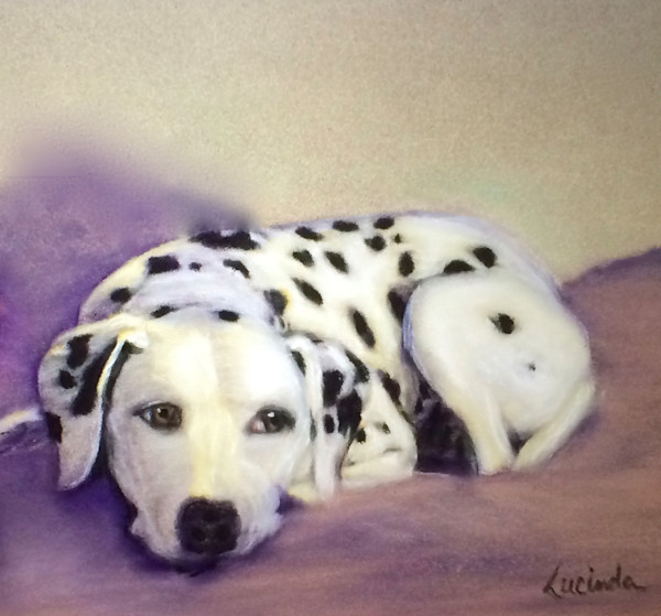 'Freckles'     Denise's dalmation... by Cindy Berceli