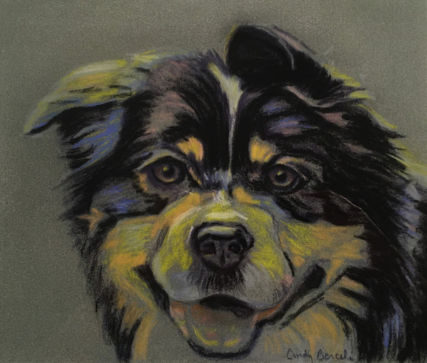 Tri-Color Dog by Cindy Berceli