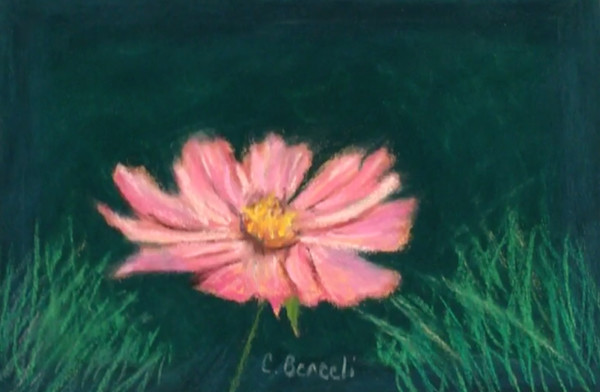 Pink Flower by Cindy Berceli