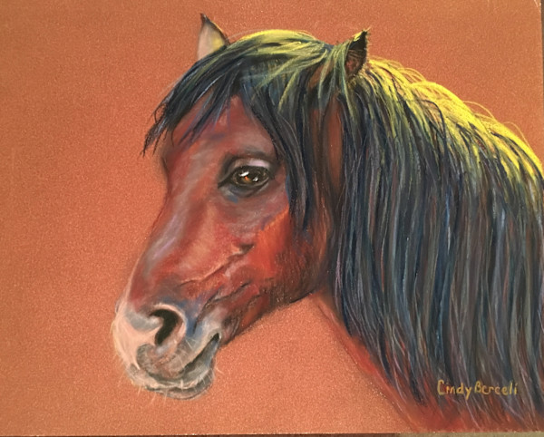 Icelandic  Pony by Cindy Berceli