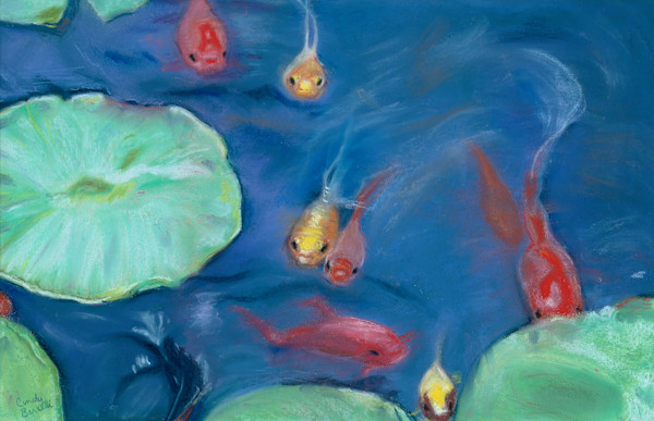 Koi Pond by Cindy Berceli