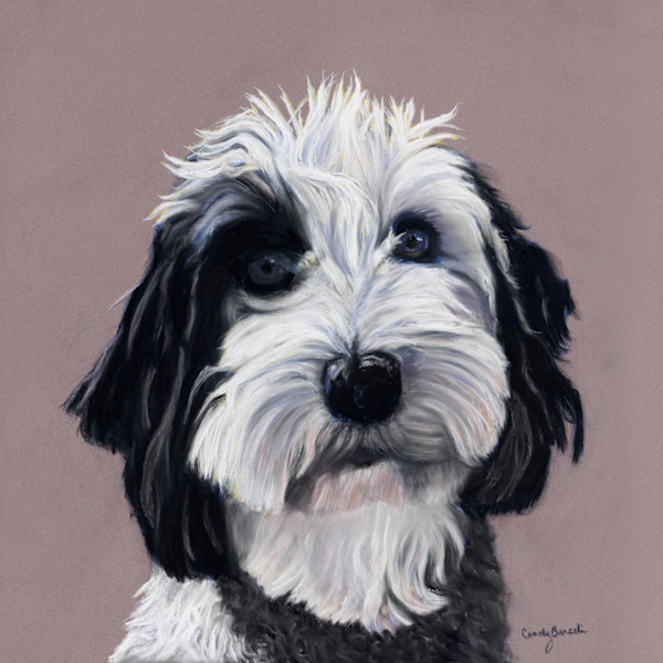 Maisy by Cindy Berceli, Image 1.