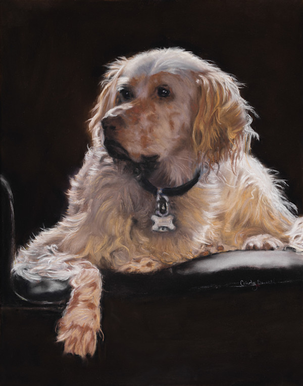 *Molly, English Setter by Cindy Berceli, Image 1.