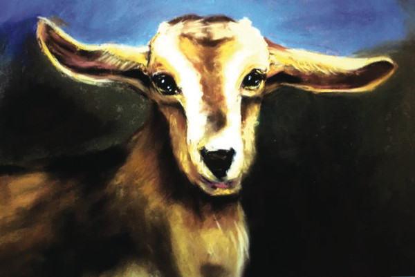 Goat, BWB by Cindy Berceli